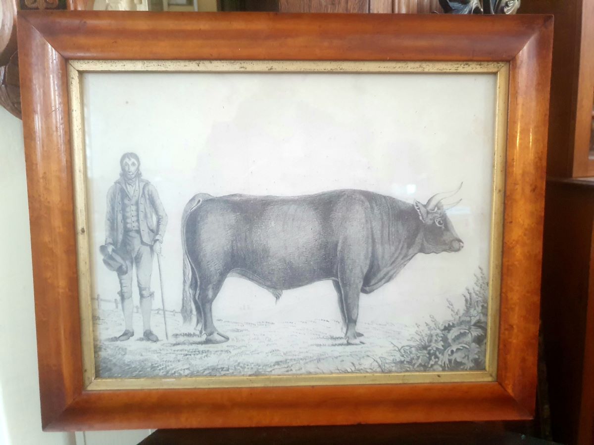 18th Century Pencil Drawing Of A Bull And A Farmer